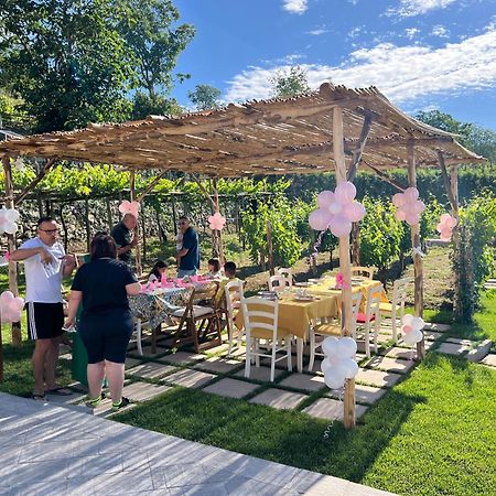 Il Vigneto Di Nonno Pietro Bed & Breakfast Agerola Exterior photo