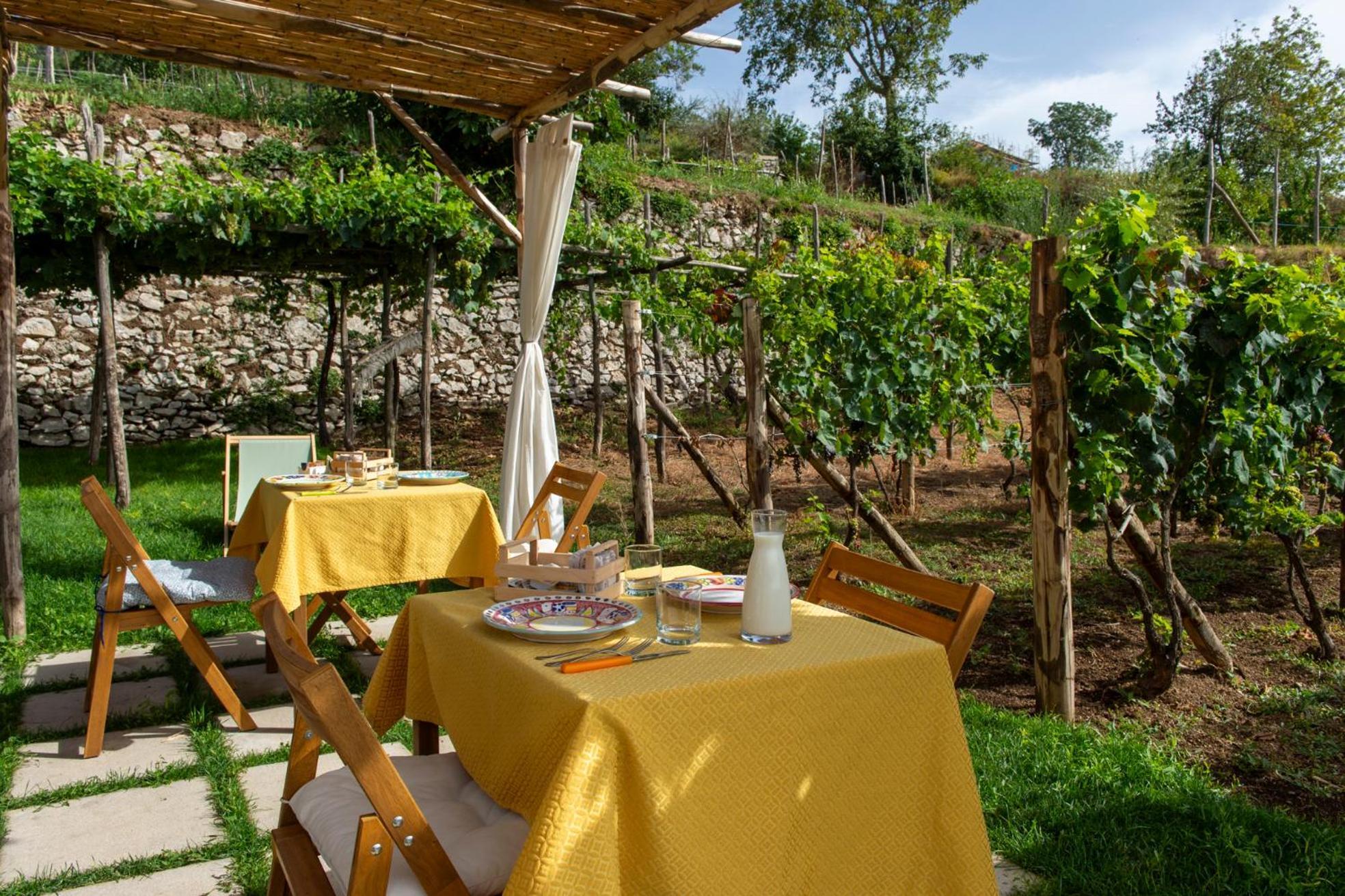 Il Vigneto Di Nonno Pietro Bed & Breakfast Agerola Exterior photo