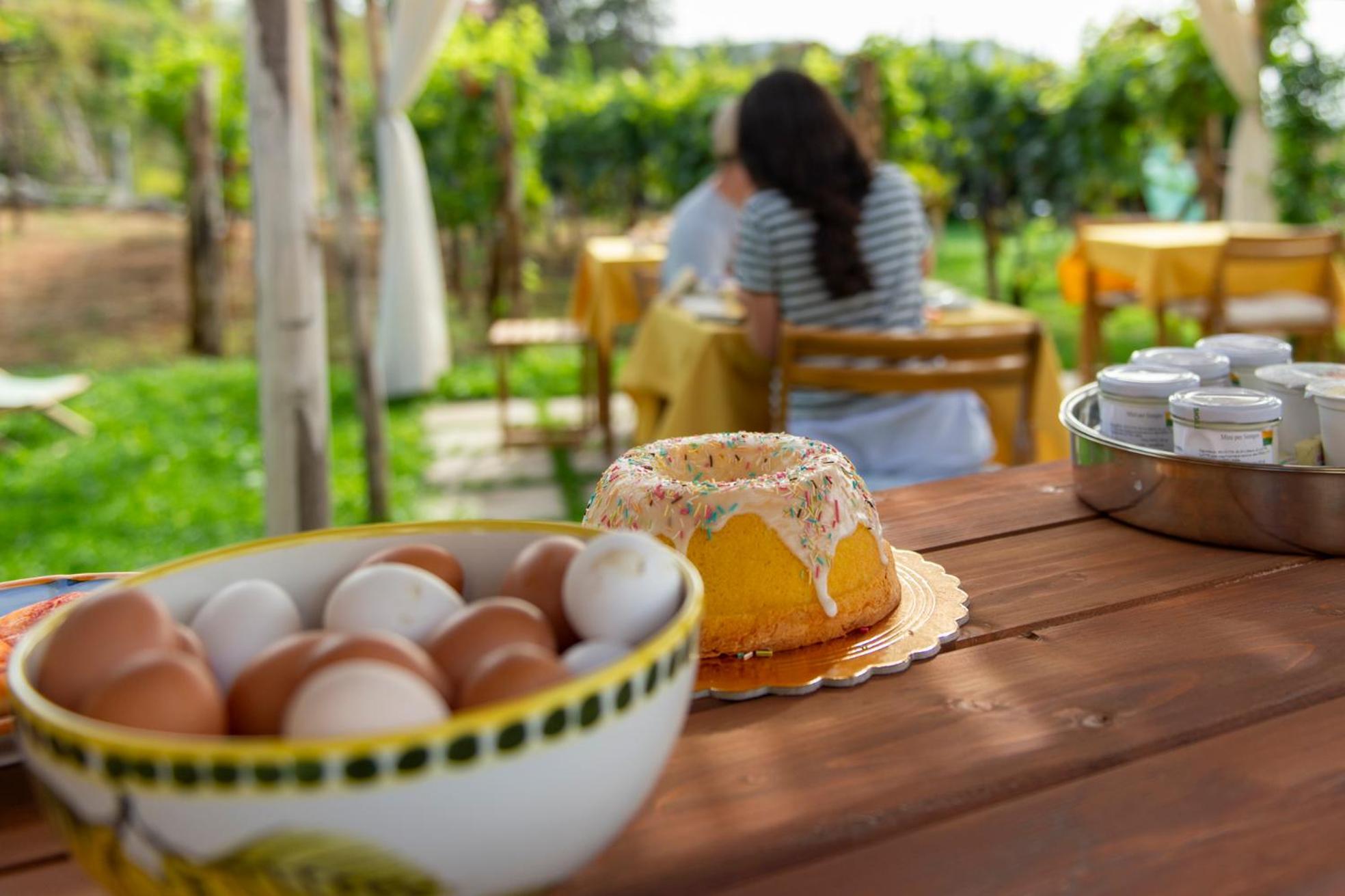 Il Vigneto Di Nonno Pietro Bed & Breakfast Agerola Exterior photo
