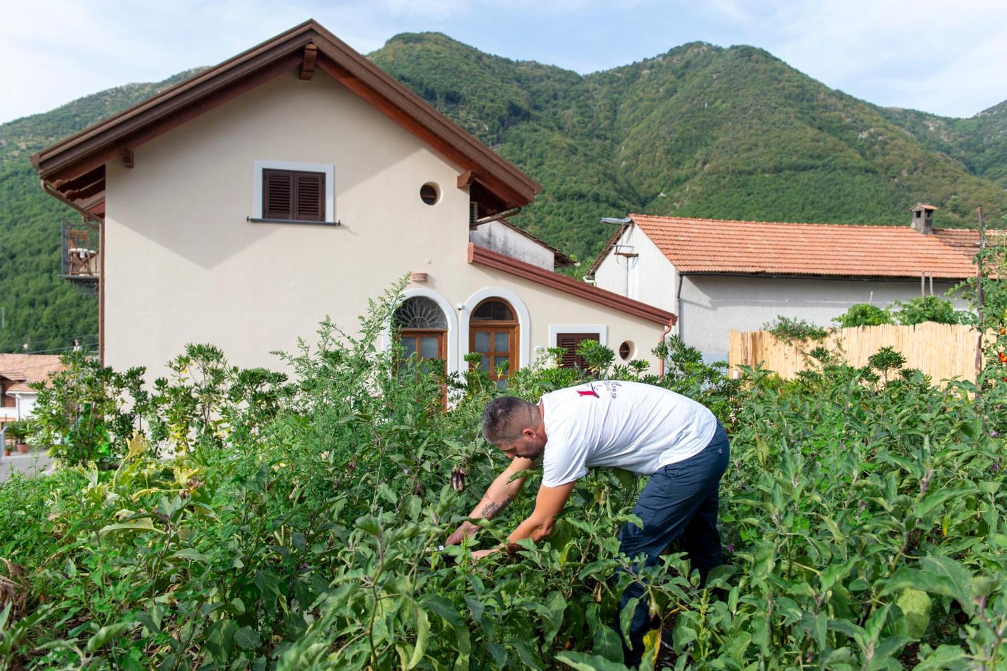 Il Vigneto Di Nonno Pietro Bed & Breakfast Agerola Exterior photo