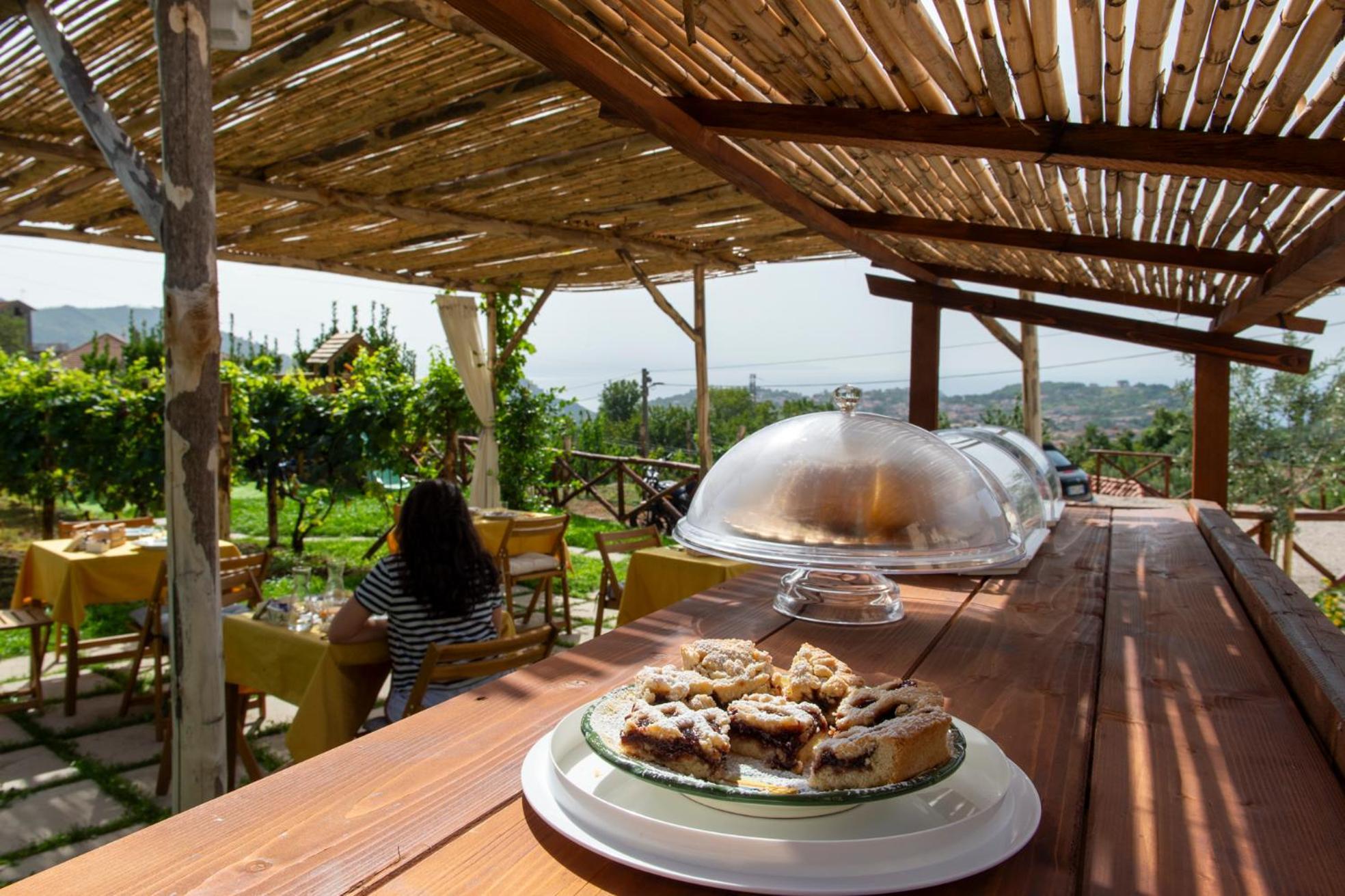 Il Vigneto Di Nonno Pietro Bed & Breakfast Agerola Exterior photo