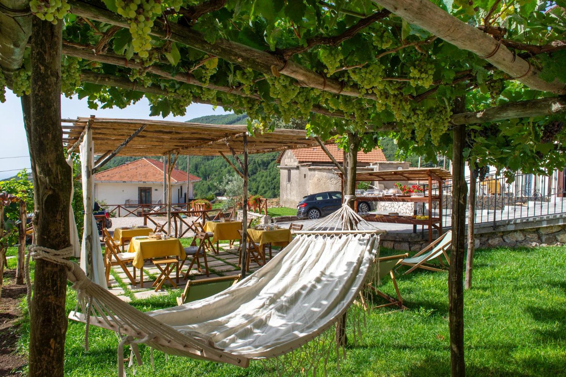 Il Vigneto Di Nonno Pietro Bed & Breakfast Agerola Exterior photo