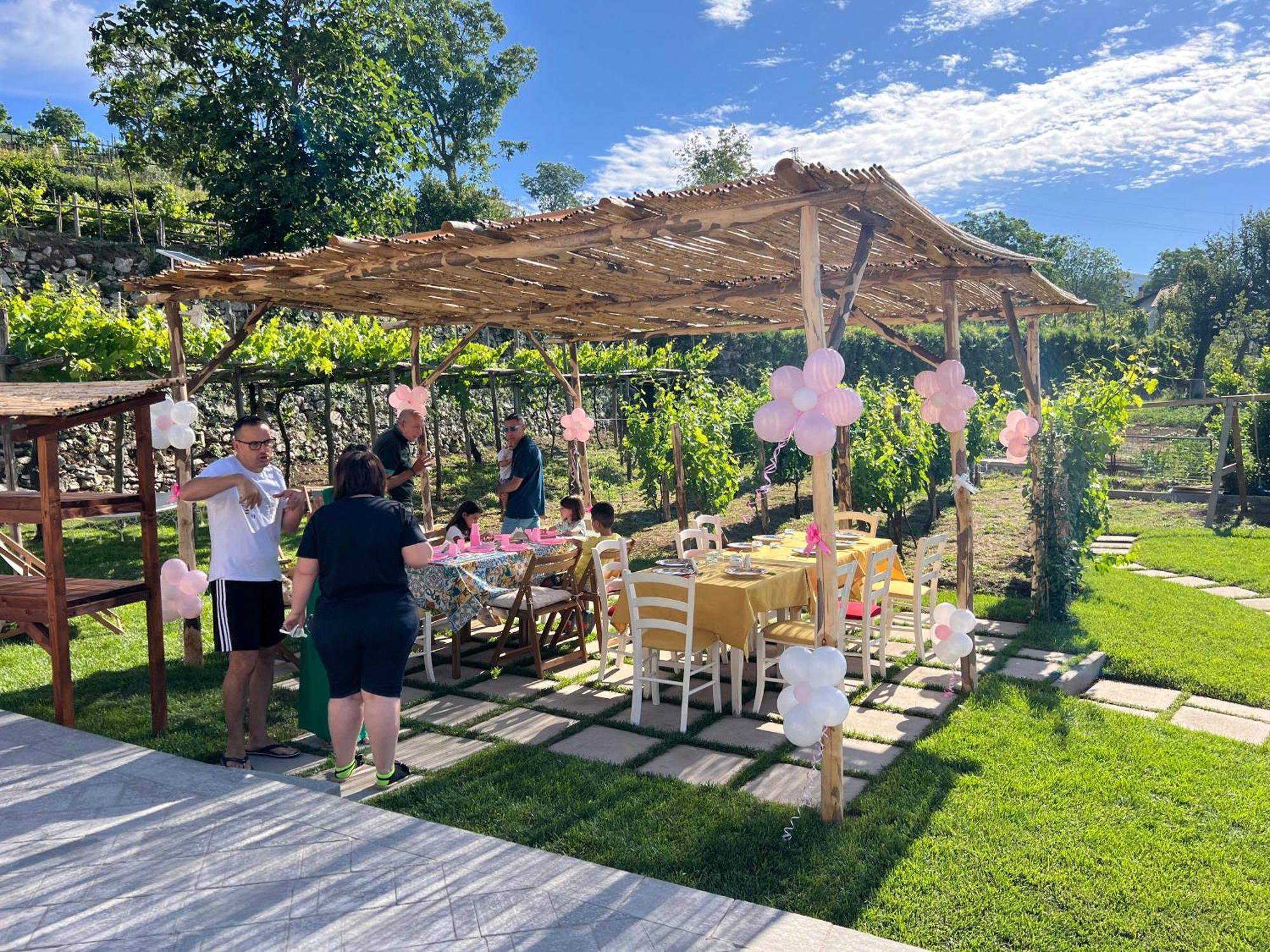 Il Vigneto Di Nonno Pietro Bed & Breakfast Agerola Exterior photo